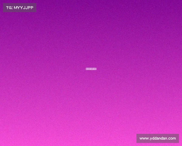 女排赛视频直播